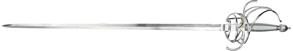 a thin elegant dueling sword of the rapier sub class