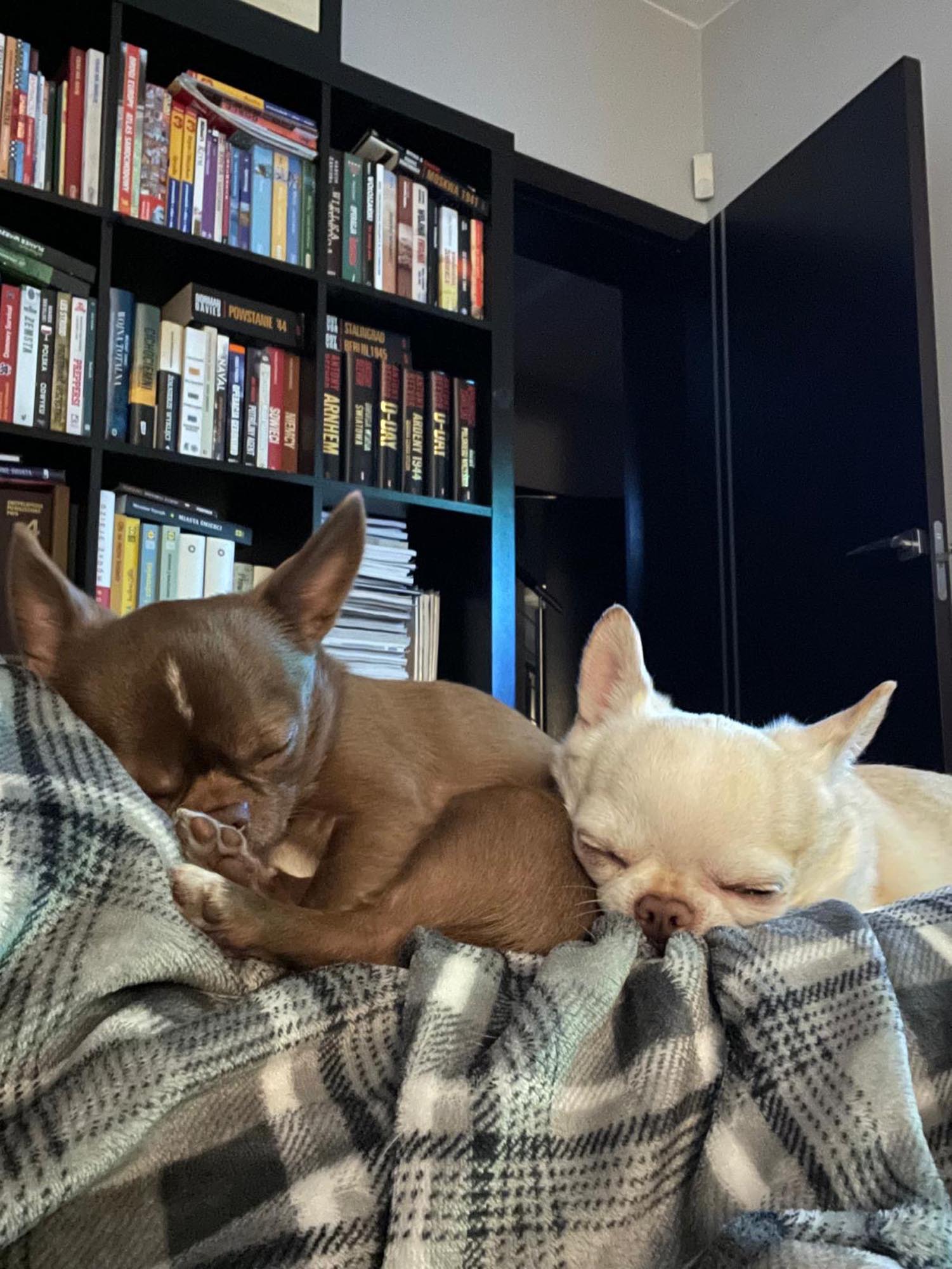working friends