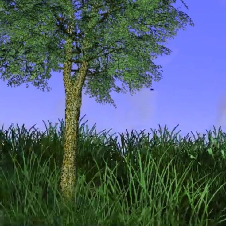 treefront1