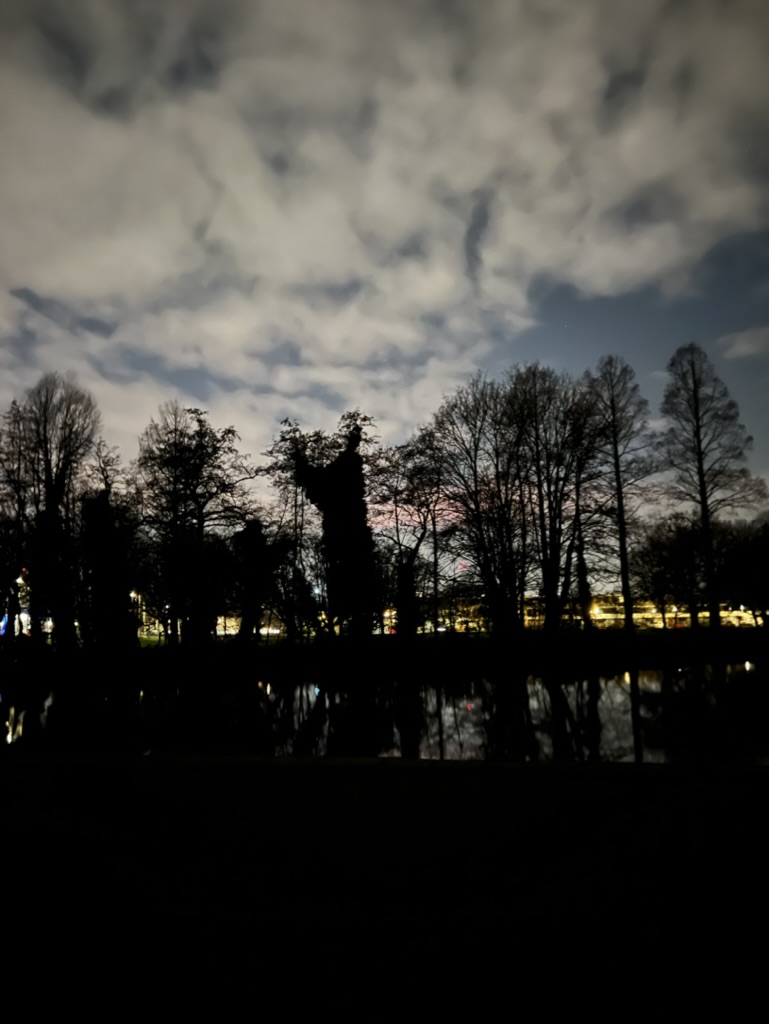 at home watching over the park